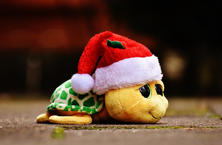 jul, sköldpadda, Upptoppade djur, Mjuk leksak, Santa hatt, leksaker, Söt
