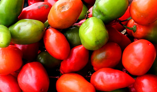 pimenta vermelha, frutos do género Capsicum, vermelho, pimenta, especiaria, cabe bromo, Indonésia