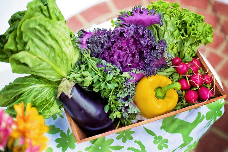 zelenina, zahrada, sklizeň, organický, zelená, zahradnictví, hlávkový salát