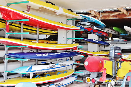 皮划艇, 独木舟出租, 独木舟俱乐部, 水上运动, 游泳, 桨, 赛艇
