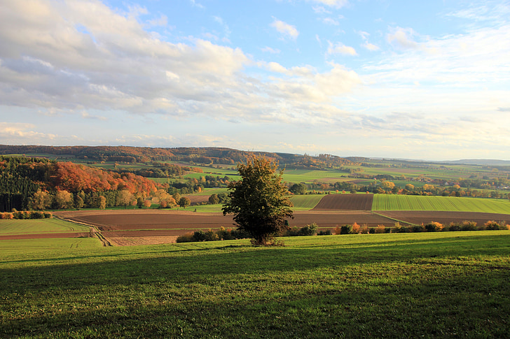 krajobraz, jesień, regionie Weser uplands, drzewo, pole, łąka, niebo
