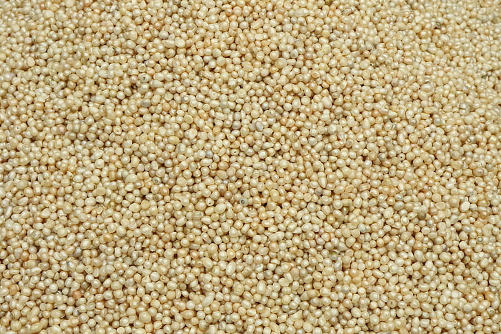 freshwater pearls, beads, mother of pearl, food, seed, backgrounds, raw Food