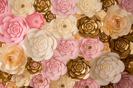 flor, floral, decoració, Rosa - flor, color rosa, patró floral, patró