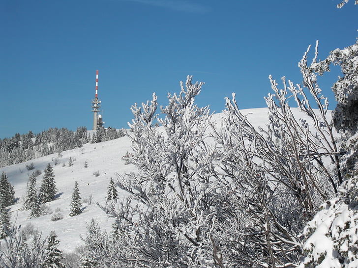 neve, paisagem de neve, floresta negra, invernal, Feldberg, Inverno, montanha