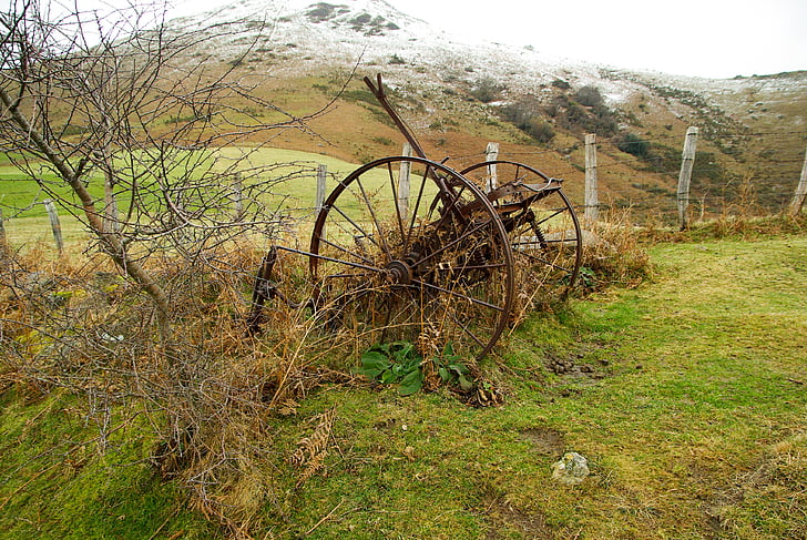 france, basque country, pasture, tool, plow, old, rural Scene