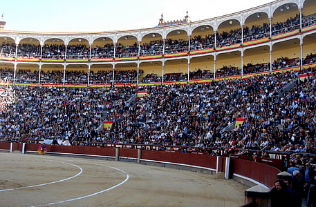bikaviadal-aréna, bullfighters, Arena, bikaviadal, szórakozás, hagyományos, spanyol
