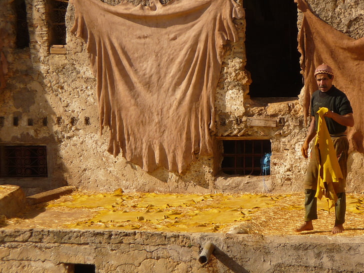 morocco, skins, the tannery, artisans