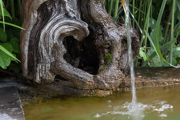 fuente, raíz, madera, ahuecado, agua, chorro de agua