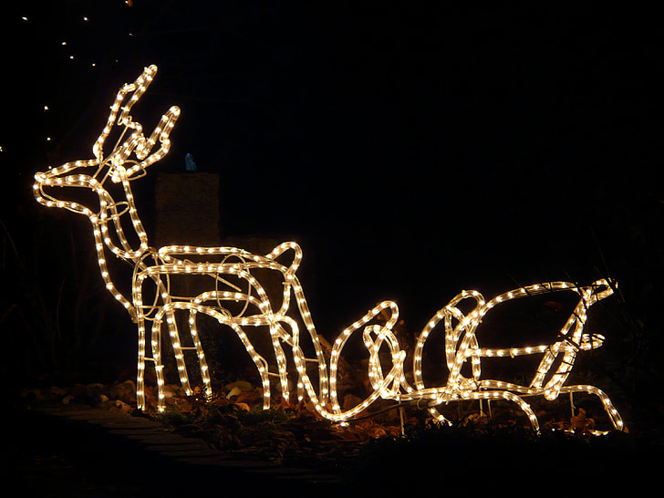 lichterkette, božič, severnih jelenov, losa, diapozitiv, pozimi, svetlobe