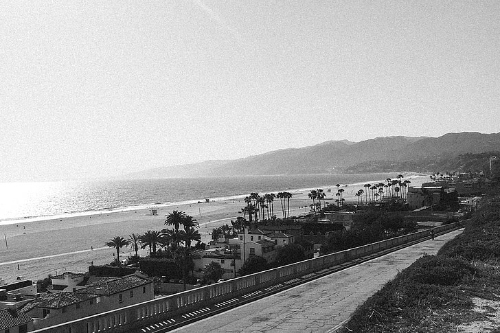 Beach, Boardwalk, liiv, Ocean, Sea, kalda, Palm puud