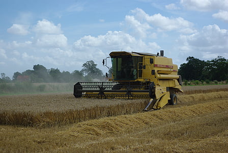 recoltare, agricultura, combină secerătoare, recolta, Utilaje agricole, grâu, vara