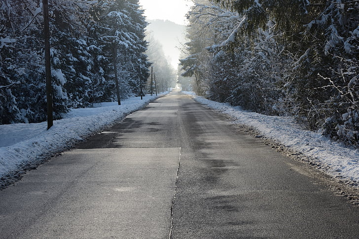 carretera, l'hivern, neu, hivernal, arbres, bosc, cobert de neu