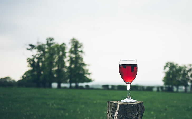 rød, vin, glass, drikke, drinker, grønn, gresset