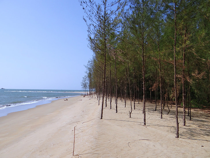 Beach, valkoista hiekkaa, Casuarina forest, Arabianmerelle, Kārwār, Intia