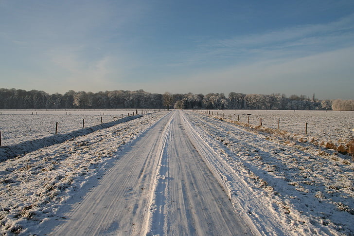 fagyasztott road, téli, téli fák, acél kék ég, téli táj, Karácsony-kép, téli táj