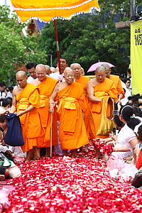 buddhister, øverste patriark, patriarken, præster, Munk, orange, klæder
