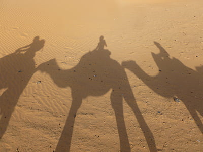 Marroc, Sàhara, Erg chebbi, sorra, desert de, ombra, camell