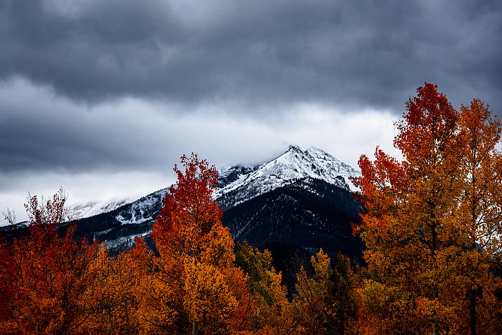 snöig, Mountain, molnet, träd, Cloud peak, hösten, naturen