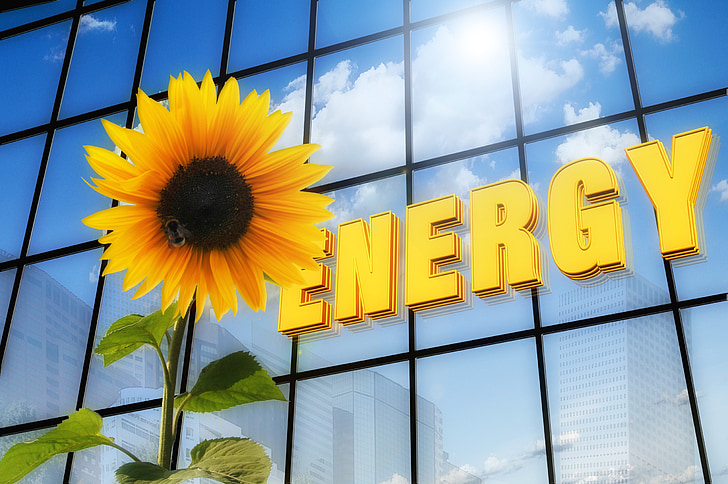 energii, Sun flower, písmo, Solární, mrakodrap, fotovoltaické, solární energie