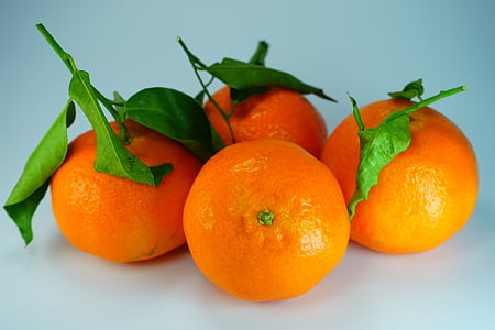 mandariner, klementiner, appelsiner, sitrusfrukter, oransje, frukt, blader