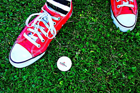 os pés, em pé, tênis, grama, bola de golfe, Golf, meia