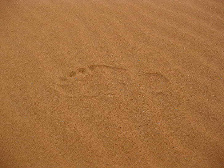 fodaftryk, sand, Sand, ørken, genoptryk, fuld frame, baggrunde, ingen mennesker