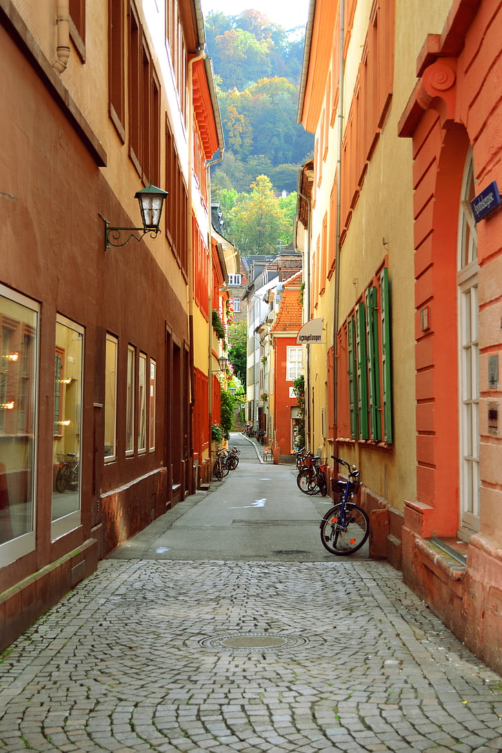 Heidelberg, ville, ville, rue, urbain, architecture, bâtiment