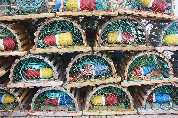 lobster cage, lobster, cage, fishing, maritime, marine, shore line