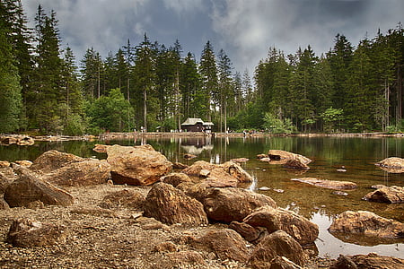 svart tjärn, sjön, skogen, vatten, naturen, yta, Bank