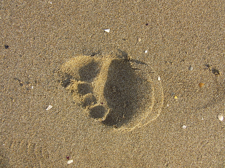 pēda, smilts, palaist, trasēšanas, pludmale, basām kājām
