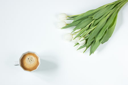 café, flores, tulipas, comida, frescura, vegetal, natureza