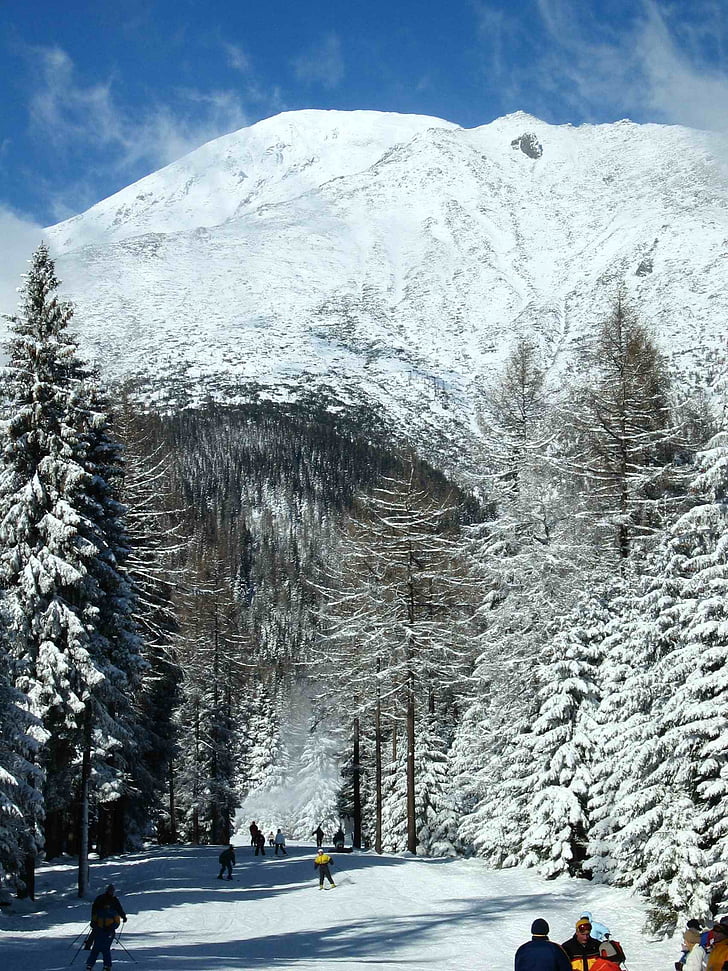 montagnes, neige, EFI, paysage, montagne, hiver, Tatras