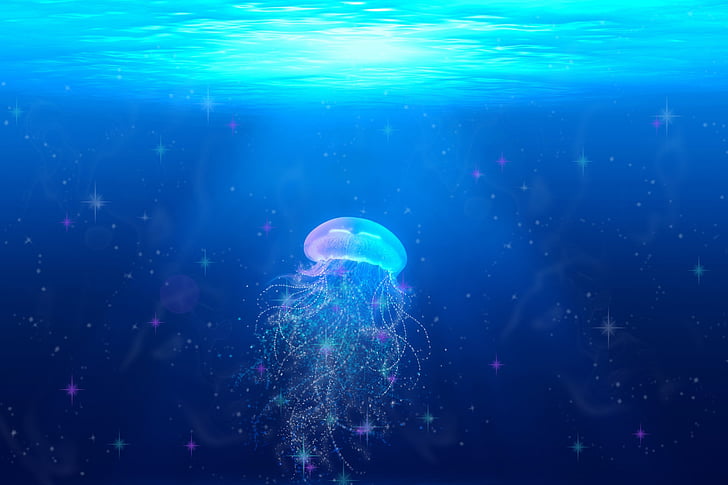 jellyfish, fantasy, glitter, blue, water, underwater, sea animals