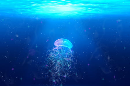 Medūza, fantazija, Blizgučiai, mėlyna, vandens, po vandeniu, jūros gyvūnai