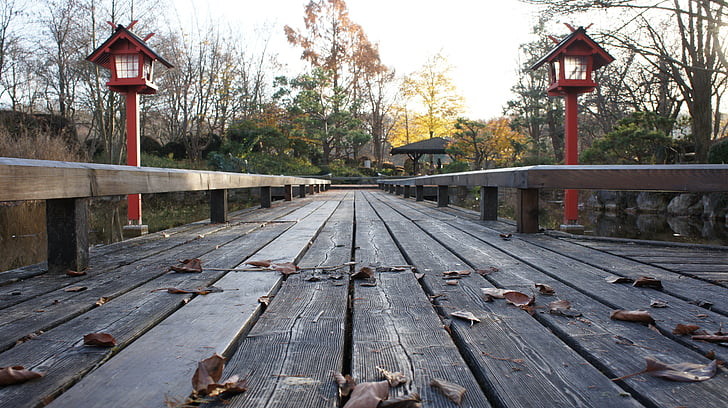 web, 走了, 木材, 这座木桥, 池塘, 浮桥, 路径