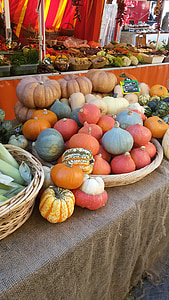 abóboras, abóbora, produtos hortícolas, laranja, Outono