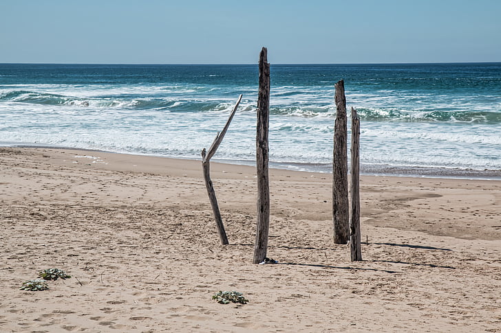 morské pobrežie, Beach, sám, izolované, osamelý, naplavené drevo, tajomstvo