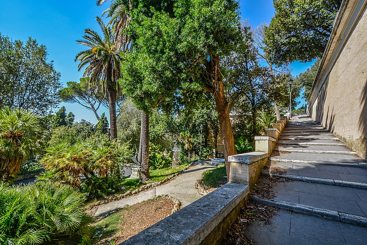 rome, borghese, gardens, italy, steps, trees, italian