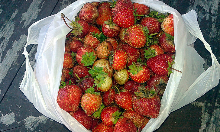 strawberries, summer, autumn, collections, strawberry, nature, garden