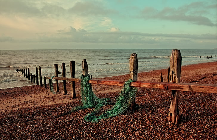 rug, Sussex, stranden, sjøen, kysten, sand, England