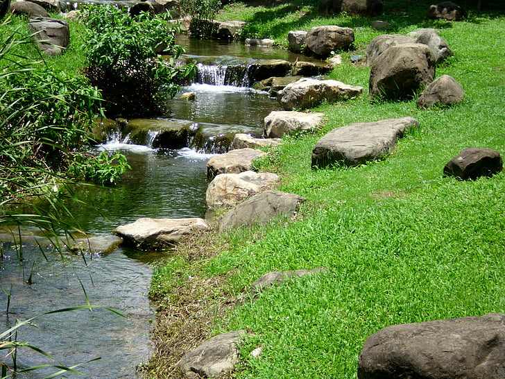 Park, rennende vann, grasmark, natur, vann, foss, utendørs