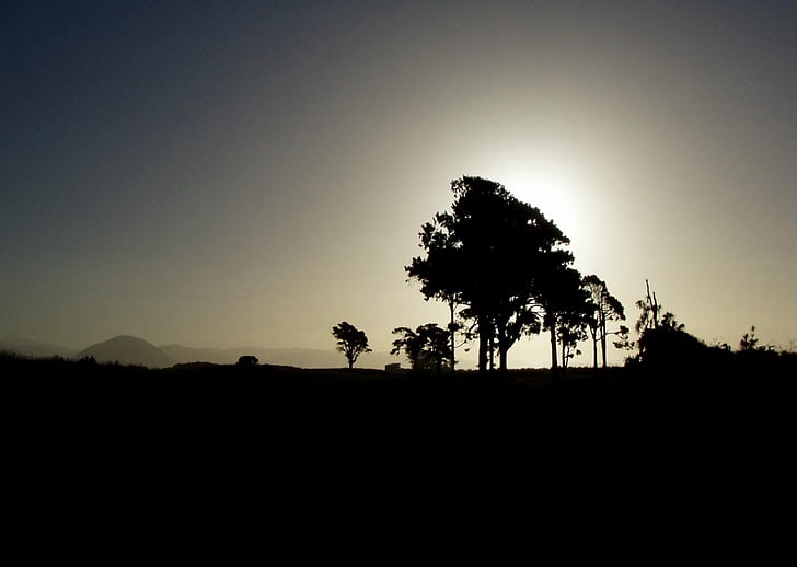 silueta, árbol, luz de nuevo, naturaleza, puesta de sol, África, paisaje