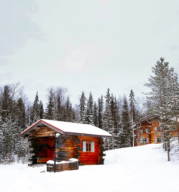 winter, snow, forest, trees, woods, cloudy, log cabin