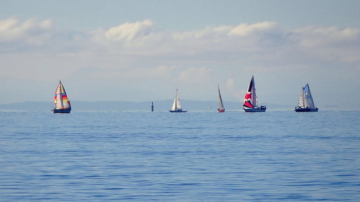 sailboats, sailing, water, ocean, sea, yacht, boat