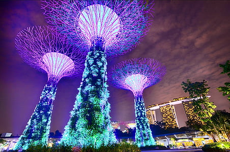 Сингапур, градини от залива, продължително излагане, Марина Бей пясъци, дървета, архитектура, модерни