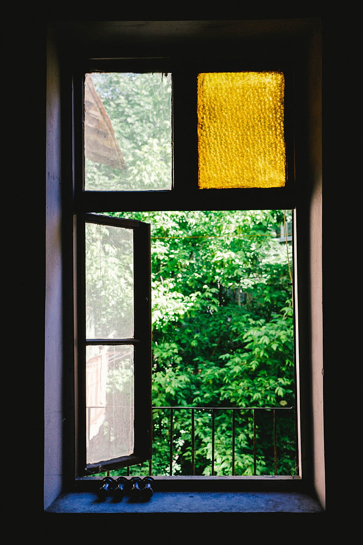okno, ščit, steklo, zelena, rastline, narave, zunaj