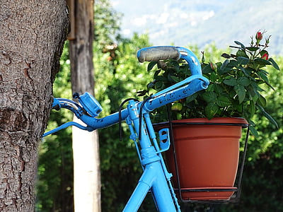 bicycle, blue, rose, vintage, handlebars, bike, vase