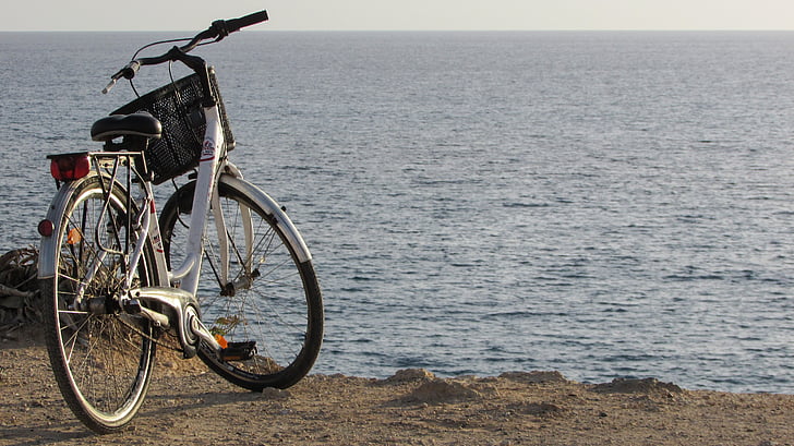 bicycle, sea, bike, nature, cycling, leisure, recreation