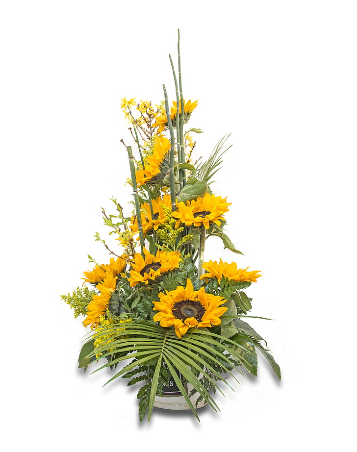 flores, Centro floral, plantas, ramo de la, amarillo, girasol, naturaleza