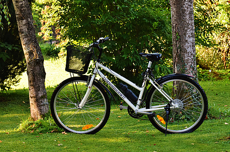 velosipēds, cikls, rats, Riteņbraukšana, Sports, divu riteņu transportlīdzekļu, veselīgi